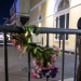 AJUSTAN A 14 MUERTOS Y 35 HERIDOS, CIFRA DE VÍCTIMAS EN NUEVA ORLEANS