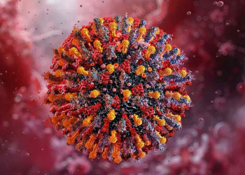 METAPNEUMOVIRUS EN MÉXICO: ESTOS SON LOS ESTADOS QUE HAN REPORTADO CASOS