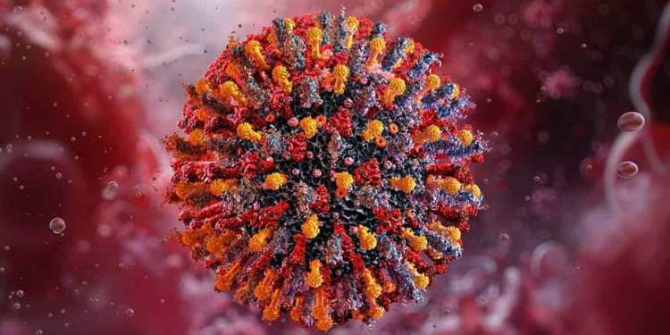 METAPNEUMOVIRUS EN MÉXICO: ESTOS SON LOS ESTADOS QUE HAN REPORTADO CASOS