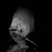 CAPTURAN PEZ CON ATERRADORA FORMA DE ALIEN