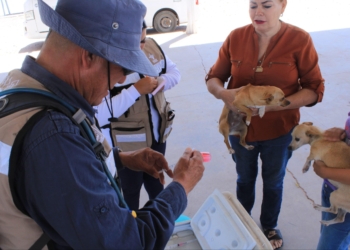 INICIA LA SEMANA DE LA SALUD 2025 EN CAJEME