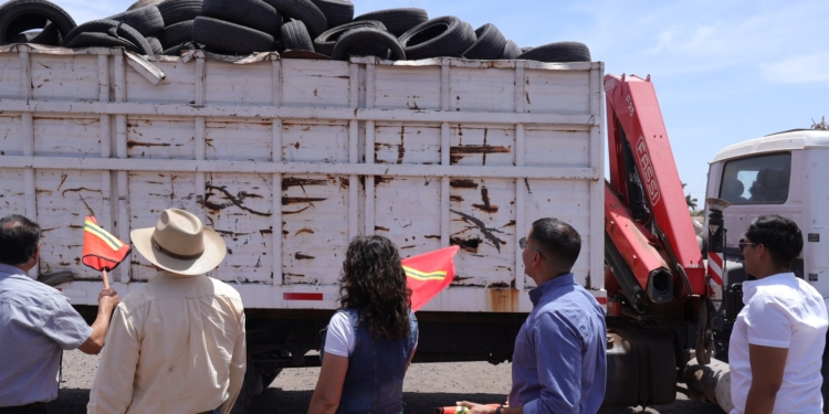 PARA PREVENIR ENFERMEDADES TRANSMITIDAS POR VECTOR PONEN EN MARCHA CAMPAÑA ‘CAJEME MÁS LIMPIO LLANTATÓN 2025’