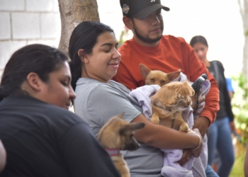 LLEVAN GOBIERNO ESTATAL Y MUNICIPAL JORNADA DE ESTERILIZACIÓN A LA COLONIA CAJEME