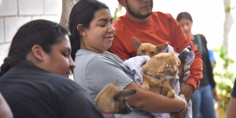LLEVAN GOBIERNO ESTATAL Y MUNICIPAL JORNADA DE ESTERILIZACIÓN A LA COLONIA CAJEME