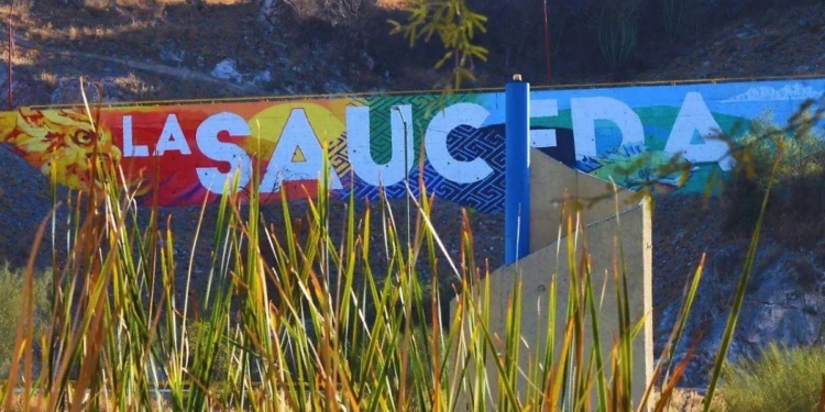 GOBERNADOR DURAZO CONTINÚA RESCATE DE LA SAUCEDA CON SEGUNDA ETAPA DEL BOSQUE URBANO: PAULINA OCAÑA