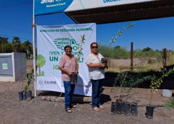 CAJEME SOSTENIBLE: VIVERO MÓVIL PROMUEVE LA EDUCACIÓN AMBIENTAL Y REFORESTACIÓN
