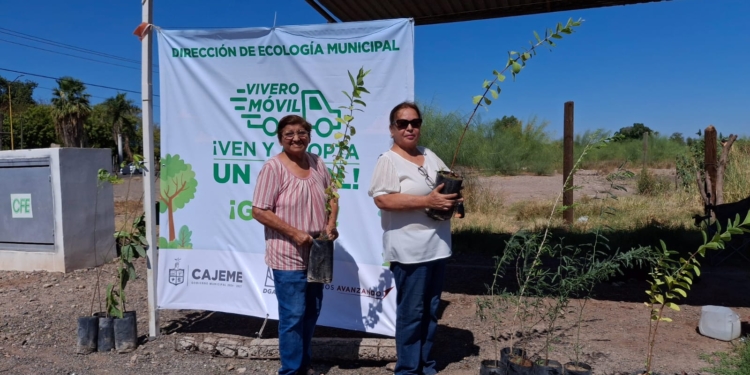 CAJEME SOSTENIBLE: VIVERO MÓVIL PROMUEVE LA EDUCACIÓN AMBIENTAL Y REFORESTACIÓN