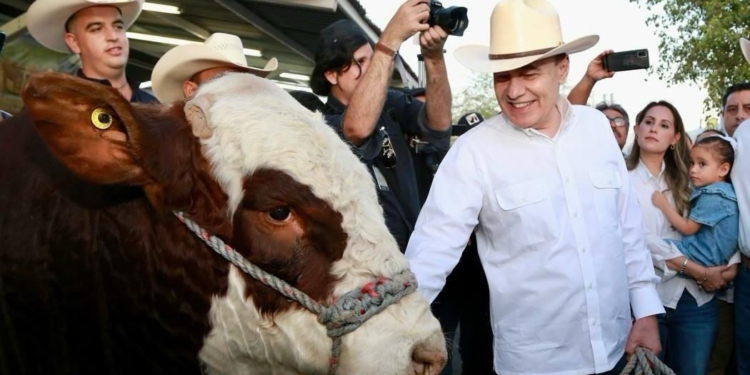 ANUNCIA GOBERNADOR DURAZO PRÓXIMA REAPERTURA PARA CRUCE DE GANADO POR AGUA PRIETA A ESTADOS UNIDOS