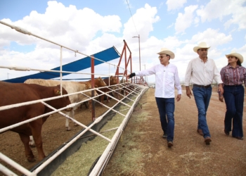 GOBERNADOR DURAZO REANUDA EXPORTACIÓN DE GANADO A ESTADOS UNIDOS; SONORA ES EL PRIMER ESTADO EN MÉXICO