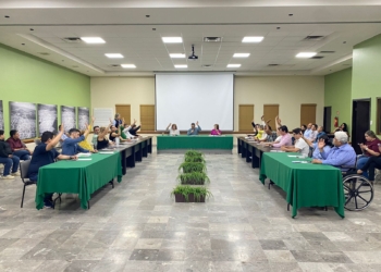 APRUEBA CABILDO REGLAMENTO DE OPERACIÓN DEL CONSEJO DE PAZ Y JUSTICIA CÍVICA EN CAJEME