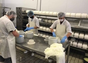 INVITA DESAROLLO RURAL A CAJEMENSES AL TALLER DE ELABORACIÓN DE QUESO ASADERO