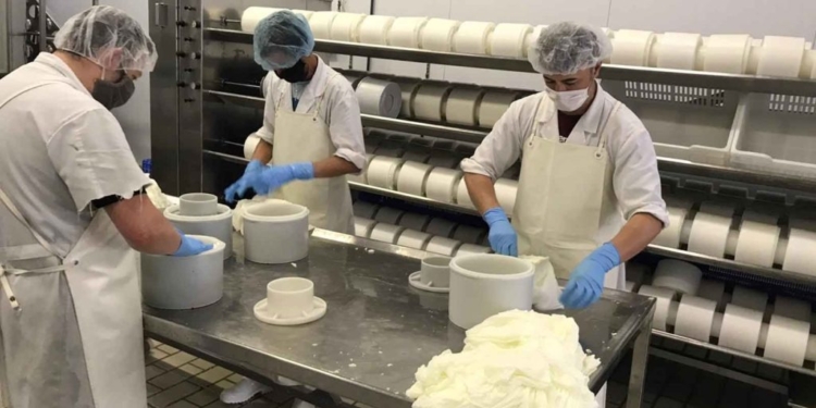 INVITA DESAROLLO RURAL A CAJEMENSES AL TALLER DE ELABORACIÓN DE QUESO ASADERO