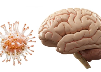 LA PANDEMIA PUDO ENVEJECER TU CEREBRO, INCLUSO SI NUNCA TUVISTE COVID-19