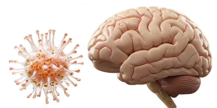 LA PANDEMIA PUDO ENVEJECER TU CEREBRO, INCLUSO SI NUNCA TUVISTE COVID-19