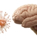 LA PANDEMIA PUDO ENVEJECER TU CEREBRO, INCLUSO SI NUNCA TUVISTE COVID-19
