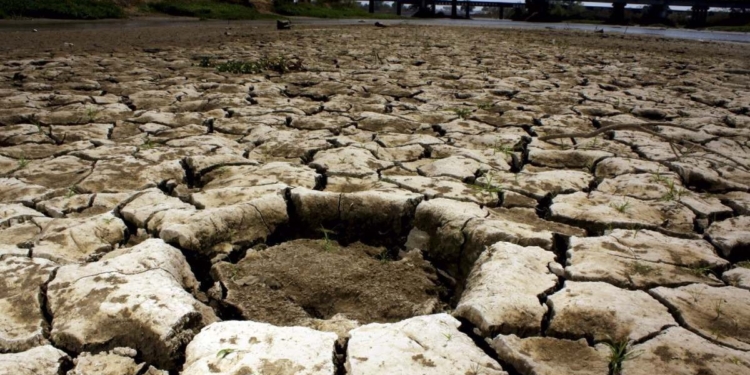 SEQUÍA GOLPEA A 65 MUNICIPIOS DE SONORA; SON 15.3% MÁS QUE EL AÑO PASADO