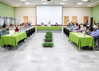 APRUEBA CABILDO INSTALACIÓN DEL COMITÉ MUNICIPAL DE SALUD MENTAL Y ADICCIONES