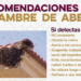 EXHORTA GOBIERNO DE SONORA A REPORTAR PRESENCIA DE ENJAMBRES DE ABEJAS AL 9-1-1