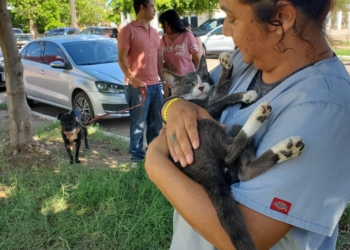 REALIZA SALUD MUNICIPAL JORNADA DE ESTERILIZACIÓN Y VACUNACIÓN DE MASCOTAS EN CÓCORIT
