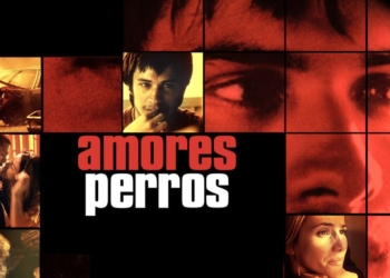 AMORES PERROS SE REESTRENARÁ EN CINES; HABRÁ EXHIBICIÓN SENSORIAL EN CDMX