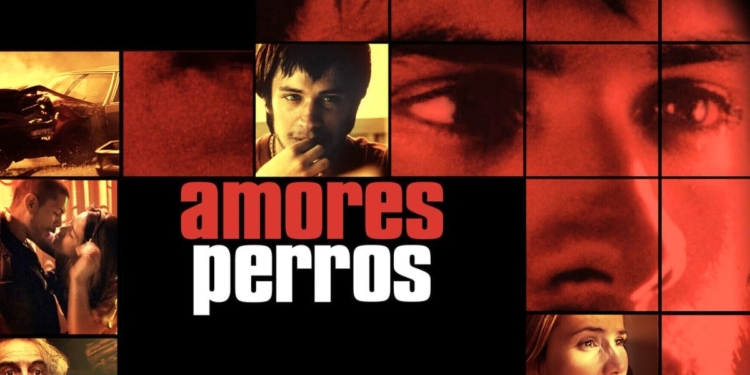 AMORES PERROS SE REESTRENARÁ EN CINES; HABRÁ EXHIBICIÓN SENSORIAL EN CDMX