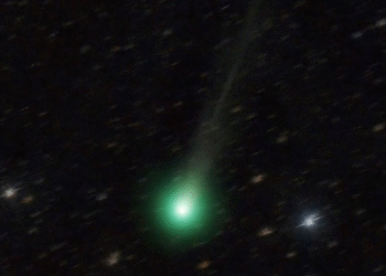 COMETA LEMMON PODRÁ SER VISTO A SIMPLE VISTA, ¿CUÁNDO?