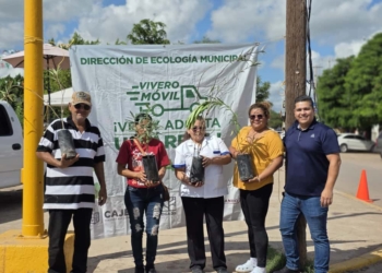 CAJEME SOSTENIBLE: “VIVERO MÓVIL EN TU COMISARÍA” PROMUEVE LA REFORESTACIÓN Y CONCIENCIA AMBIENTAL
