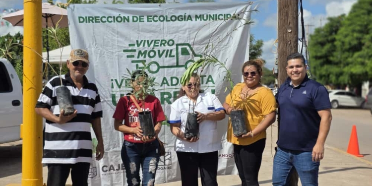 CAJEME SOSTENIBLE: “VIVERO MÓVIL EN TU COMISARÍA” PROMUEVE LA REFORESTACIÓN Y CONCIENCIA AMBIENTAL