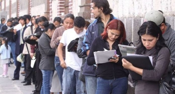 IMSS PRESUME CRECIMIENTO EN EMPLEO Y ALZA SALARIAL: ESTOS SON LOS SECTORES QUE MÁS CONTRATAN
