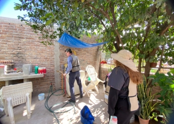 INCREMENTAN EN CAJEME ACCIONES DE PREVENCIÓN Y LUCHA CONTRA EL DENGUE