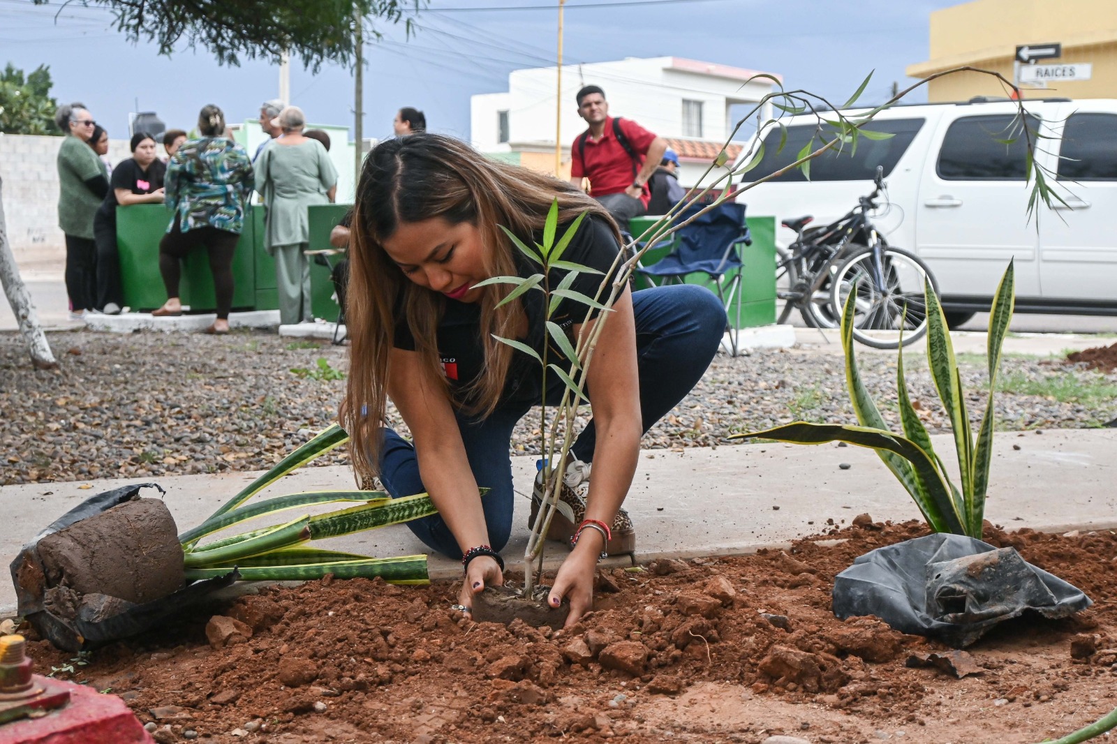 LLEVAN JORNADA DE RECUPERACIÓN DE ESPACIOS  AL PARQUE ÁLAMOS