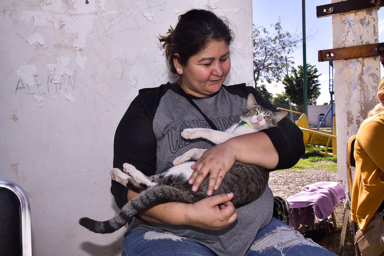 TRABAJA GOBIERNO DE CAJEME EN LA PROMOCIÓN DEL BIENESTAR ANIMAL