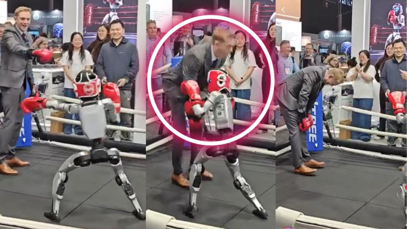 ¿ES LEGAL? ROBOT HUMANOIDE GOLPEA A HOMBRE DURANTE PELEA DE BOX