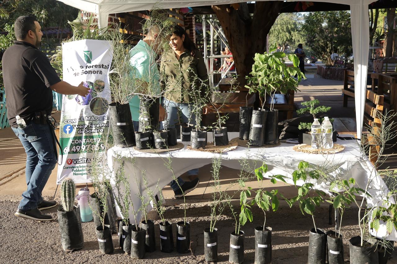 GRAN PARTICIPACIÓN CIUDADANA EN LA ECO FERIA AMBIENTAL 2026 EN CAJEME