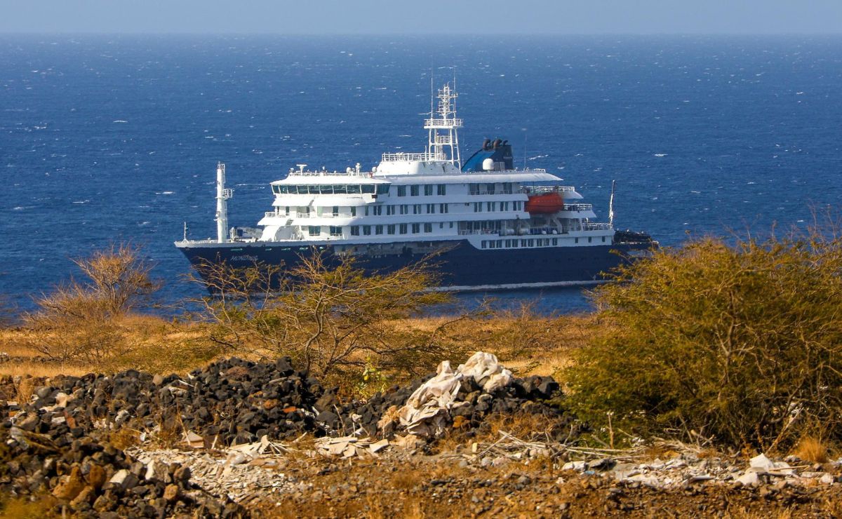 ¿QUÉ ES EL HANTAVIRUS, BROTE QUE AFECTA A UN CRUCERO DE EXPEDICIONES?