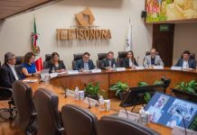 Aprueba IEE Sonora integración de comisiones con nuevas consejerías*