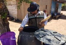 Mantiene Gobierno de Sonora acciones contra el mosquito transmisor del dengue