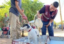 IMPACTA FAVORABLEMENTE JORNADA DE SALUD CANINA Y FELINA EN LA MAXIMILIANO R. LÓPEZ*