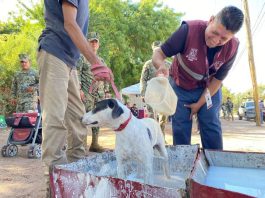 IMPACTA FAVORABLEMENTE JORNADA DE SALUD CANINA Y FELINA EN LA MAXIMILIANO R. LÓPEZ*